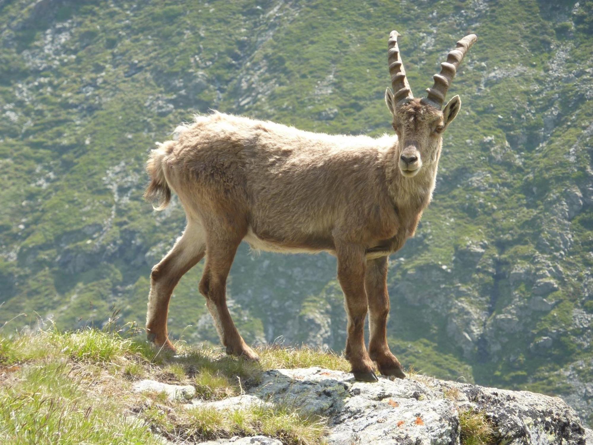 Les Glieres - Champagny-En-Vanoise La Plagne Ngoại thất bức ảnh